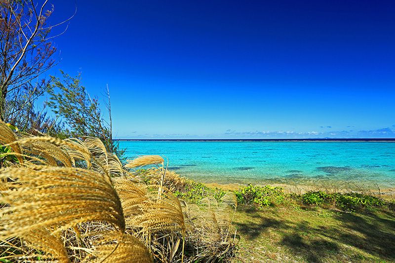 沖縄旅行は秋もおすすめ!その理由を徹底解説!