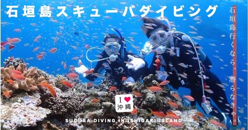 Ishigaki Island Diving Tour Beginner Recommended Ranking