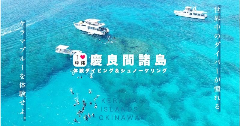 沖縄・慶良間ダイビング&シュノーケリングツアー│初心者歓迎！国内屈指の絶景ポイントを泳ごう！