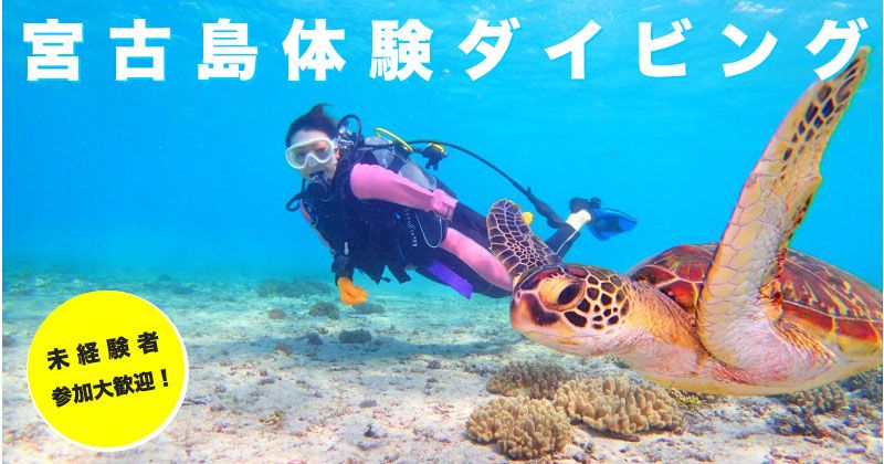 Popular rankings and reviews for Miyakojima beginner diving experience tours!