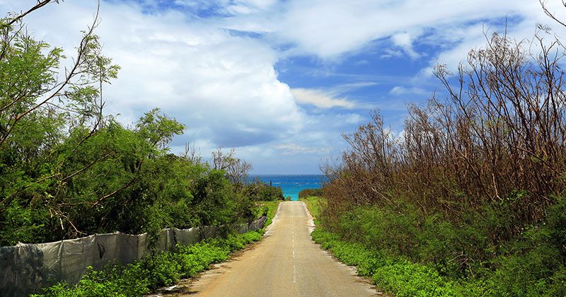 오키나와의 오프 시즌은 언제?おすすめの楽しみ方と旅行料金が安い狙い目の時期を徹底解説！