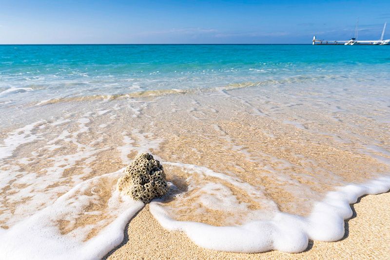 沖縄の海はいつからいつまで入れる?クラゲ発生時期と旅行費用が安い狙い目のシーズンを徹底解説!