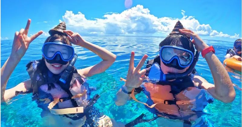 What is the price of Okinawa snorkeling tour? Introducing rental plans in descending order of price!