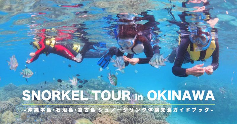 Recommended spots and popular experience tours for Okinawa snorkeling