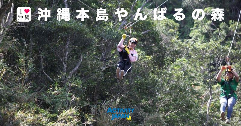 Where is Okinawa Yanbaru? A big survey of popular activity tours and tourist spot information!