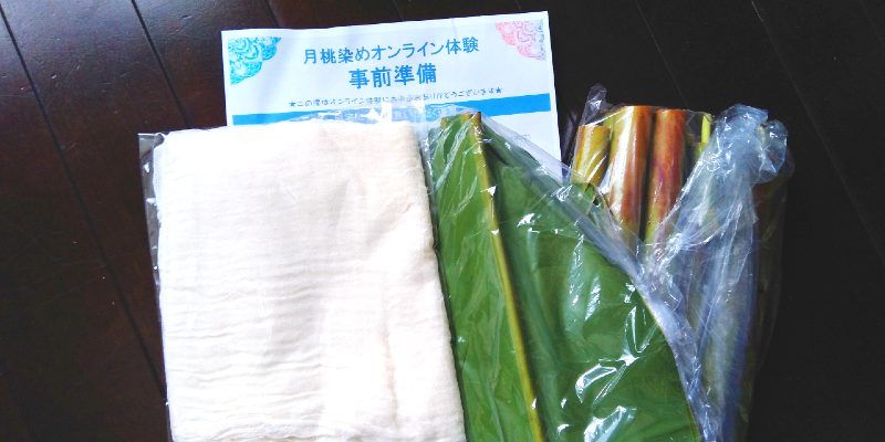 线上游体验：使用冲绳石垣岛壳姜进行植物染色