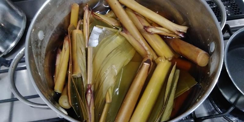 Online tour experience: Soak a plant dyeing cloth using shell ginger from Ishigaki Island, Okinawa 1