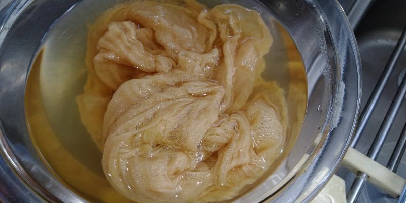 Online tour experience: Soak a plant dyeing cloth using shell ginger from Ishigaki Island, Okinawa 1