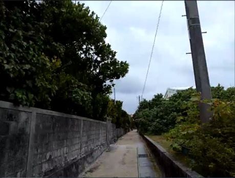 Overgrown Fukugi trees and beautiful white sand are also characteristics of Tonaki Village