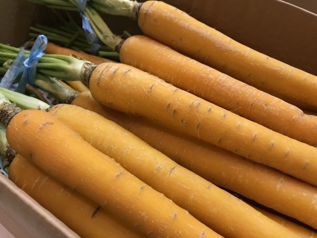 Island carrot, a rare specialty of Tonaki village that rarely appears on the market