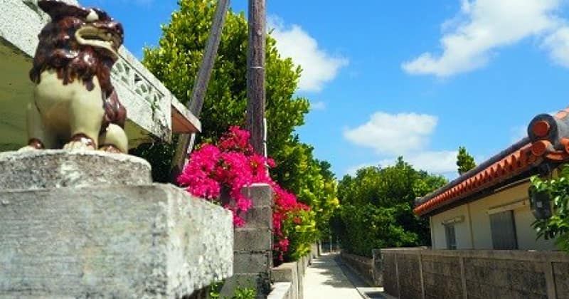 Online tour experience: Take a walk through the original scenery of Okinawa! Tonaki Village Tour