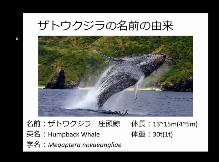 クジラについてクイズを交えながら楽しく学ぶ