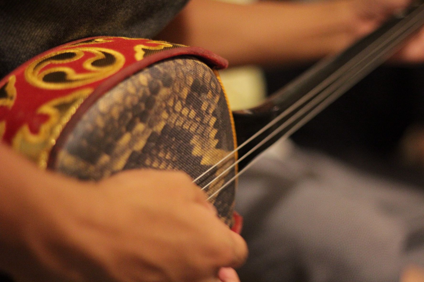 恩納村で三線ライブが楽しめる民謡居酒屋2選　イメージ　三線を弾く手元