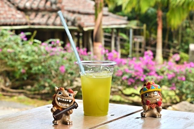 沖縄　恩納村　琉球村　サトウキビジュース　シーサー　沖縄グルメ