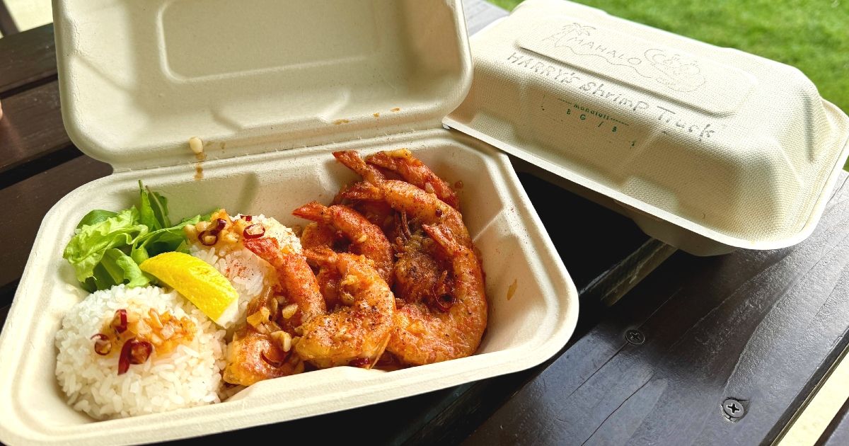 恩納村のテイクアウトグルメ｜夜ご飯・ランチにおすすめの人気店を厳選