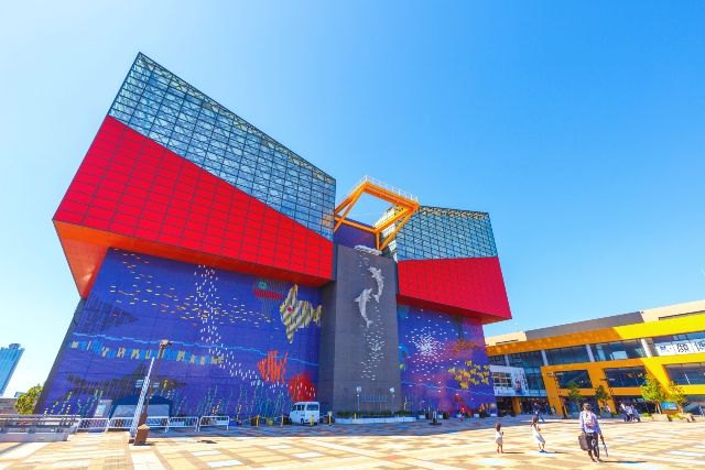 大阪　デートスポット　おすすめ　　海遊館