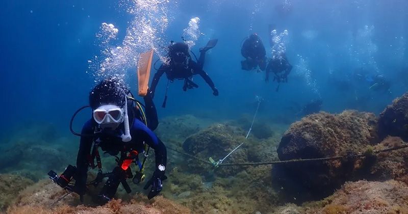 大崎潜水之旅人气排名和初学者推荐的潜水店信息
