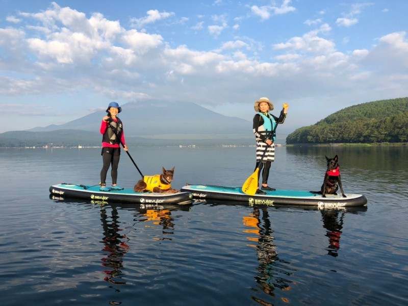 犬と一緒に楽しめるアクティビティ　SUP（サップ）