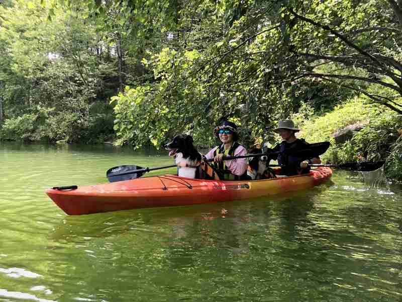 กิจกรรมที่สุนัขสามารถเพลิดเพลินได้ พายเรือแคนูและพายเรือคายัค