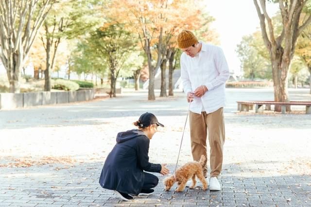 犬とおでかけするときの注意