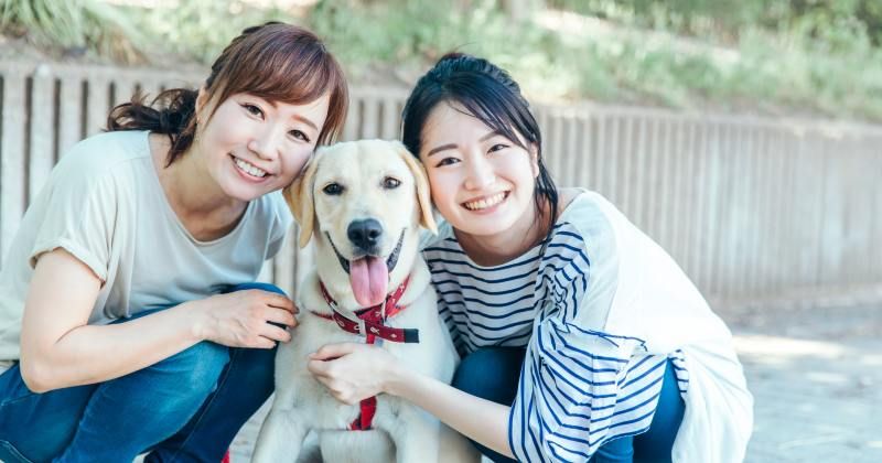 Outing with a dog ｜ Spots and activity information that you can enjoy with your dog around the Kanto area