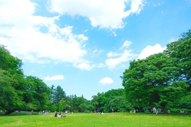 สวนสาธารณะคินุตะในเมืองเซตากายะ โตเกียว