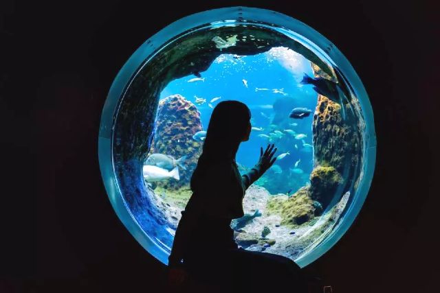 신에노시마 수족관 비오는 날 외출 여성