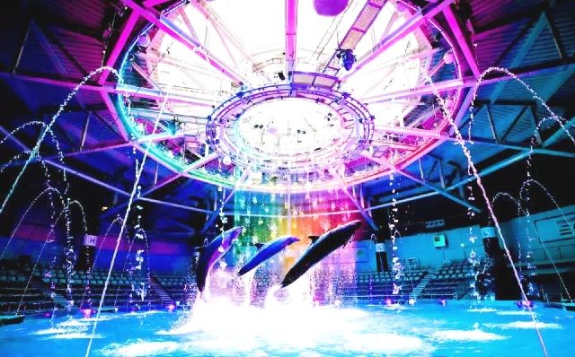 비오는 날 외출 도쿄 "맥셀