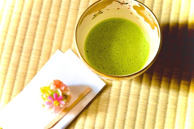 도쿄 “긴자 다선 / 아사쿠사 다선” 화과자 만들기 체험의 모습