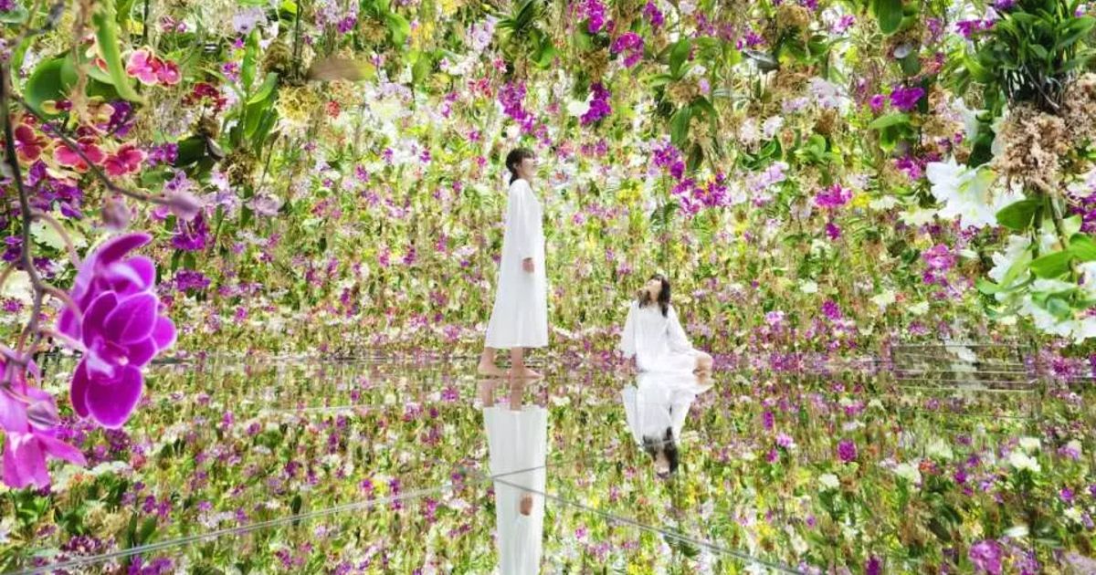 비오는 날 외출 관동편 | 어른이 즐길 수있는 숨은 명소 & 단골 명소 8 선