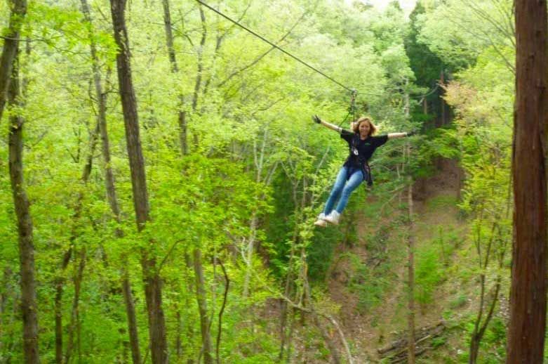 Ziplining And Thrilling Forest Adventures In Japan Activity Japan Blog