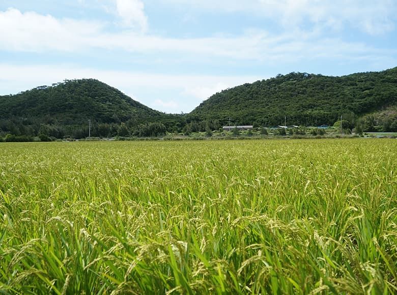 伊平屋島