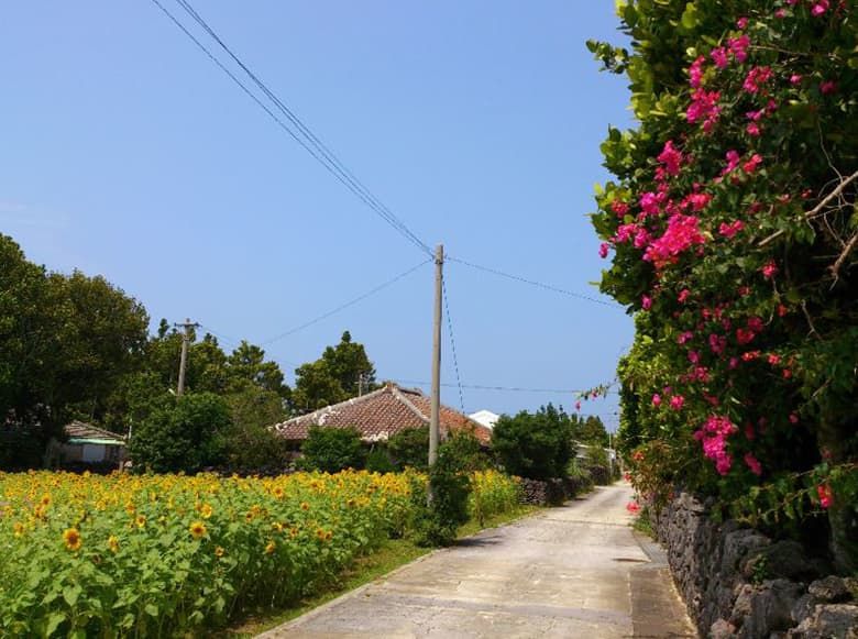 伊是名島の風景
