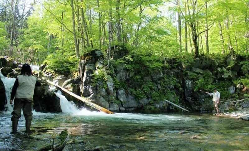 Mountain stream fishing People who enjoy fishing