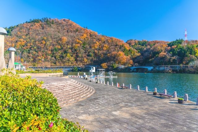 神奈川県立相模湖公園　秋　紅葉