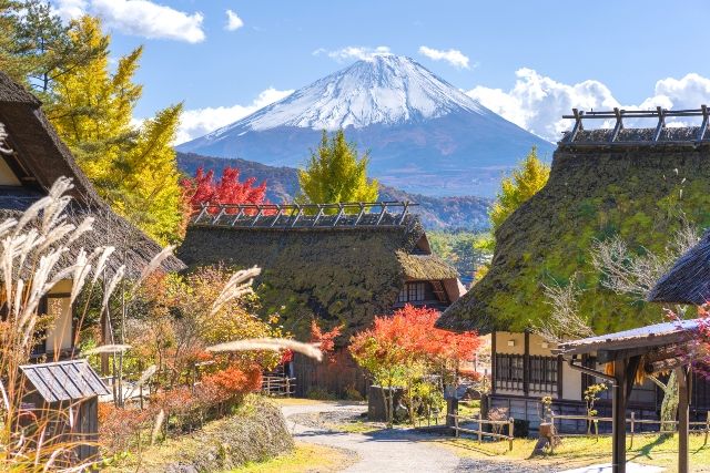 富士山、西光療癒村、根場、秋天