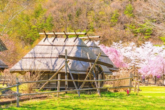山梨縣縣 西光觀光 西光野鳥森林公園