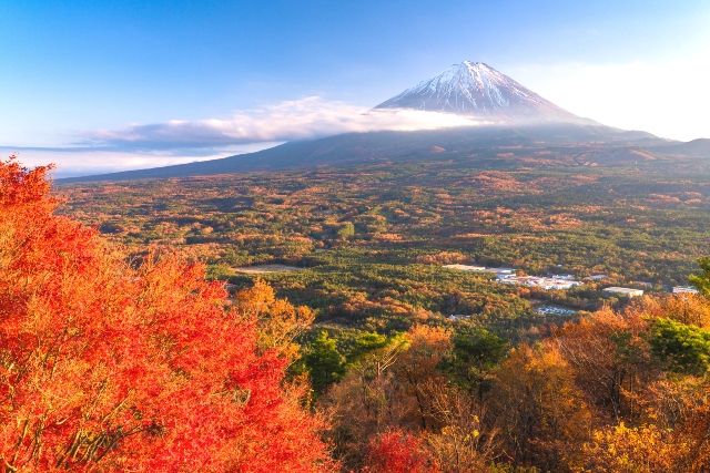 西光旅遊勝地紅葉