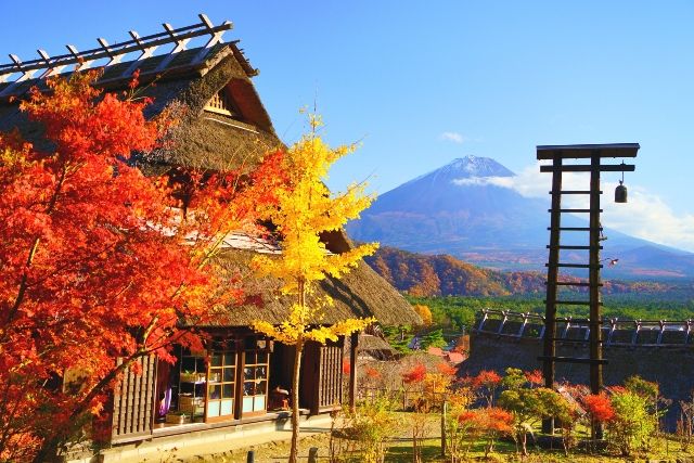西光湖旅遊景點 秋天的西光湖醫誌之鄉根場
