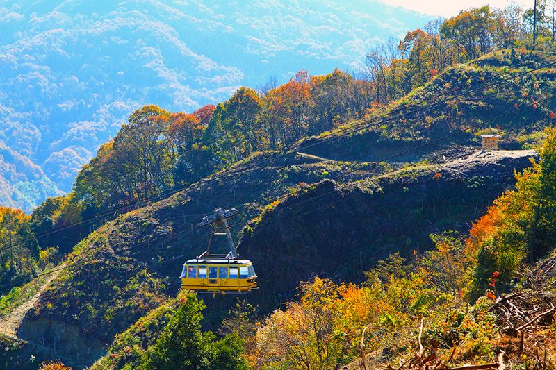 Saitama sightseeing Nagatoro Chichibu Model course Train Spectacular day trip sightseeing Gourmet spot Hodozan Ropeway