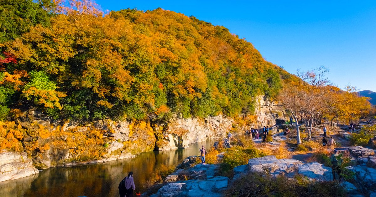 埼玉観光　秩父　長瀞　モデルコース　電車　日帰りで巡る絶景　グルメスポット　岩畳　秋　紅葉　散策　荒川沿いの景勝地　畳を敷き詰めたかのような段になった巨岩の大地　渓谷