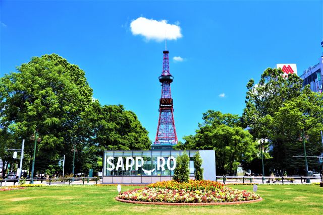 北海道　札幌　夏の人気観光名所　大通り公園　テレビ塔　花壇