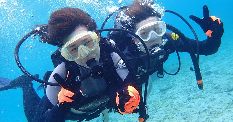 What is scuba diving? Introducing useful information for beginners such as necessary equipment and popular diving spots! Image of