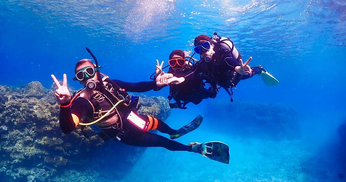 How much does it cost to get a diving license? A comprehensive guide to the average price and cheap plans! Image