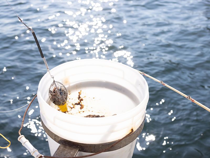 What is a marine fishing moat? All-you-can-fish at a low price! Thorough investigation of popular fishing ponds in Kanto!