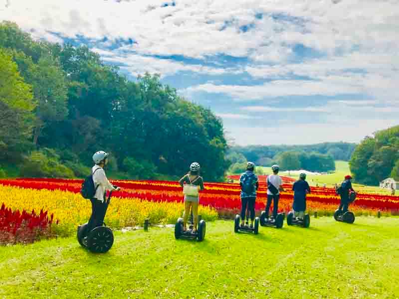 tourist spot in saitama japan