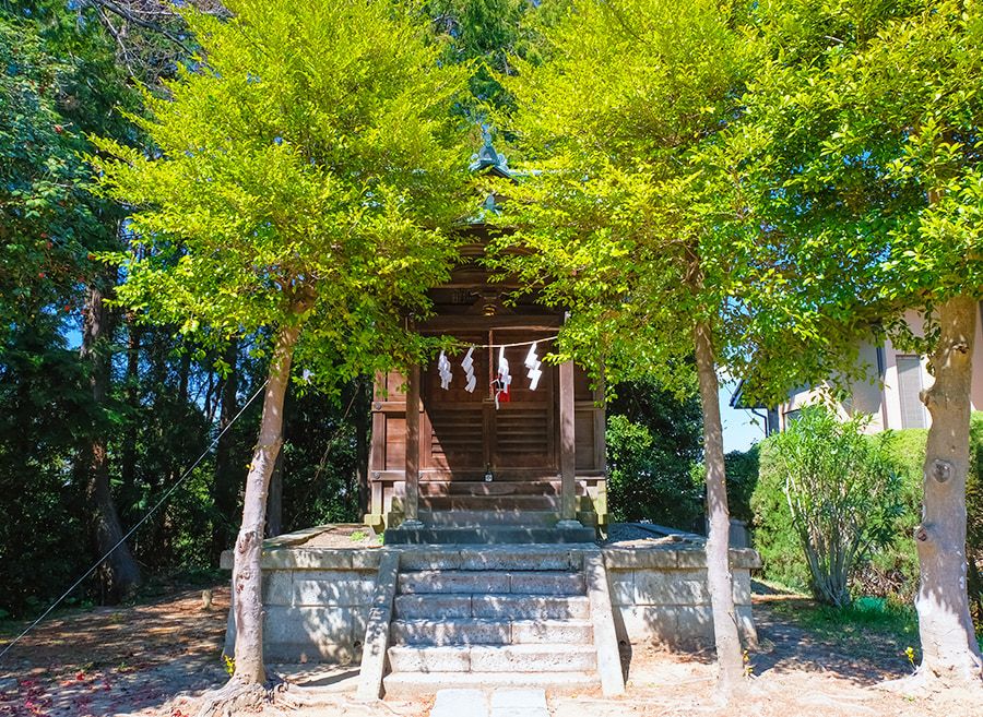 聖蹟桜ヶ丘　アニメ聖地　人気アニメ映画のモデル　いろは坂　金比羅神社　金毘羅宮　雫が幼なじみの杉村から告白される場面　恋みくじ