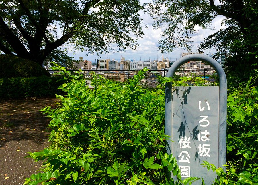 Seiseki Sakuragaoka Anime sacred place Model for a popular anime movie Irohazakazakura Park Square Hill Place where the Suginomiya Library, where Shizuku's father works, is located