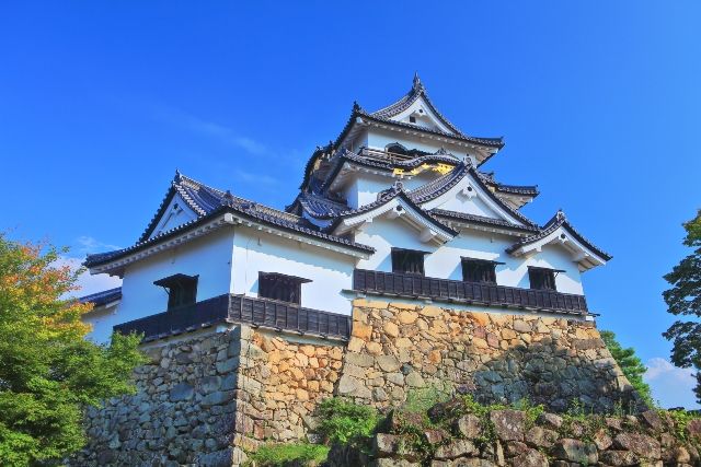 Shiga sightseeing spot Hikone Castle