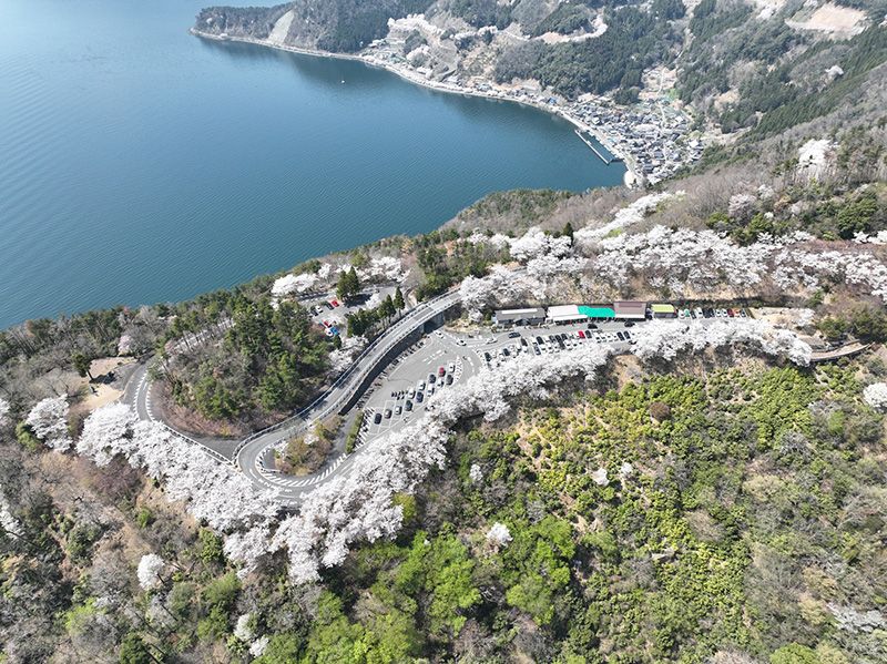 奥琵琶湖ってどこ？観光スポットやおすすめのアクティビティを徹底紹介！